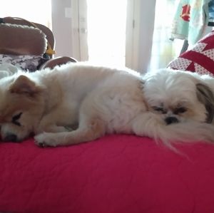 Meet your Posher, Germaine